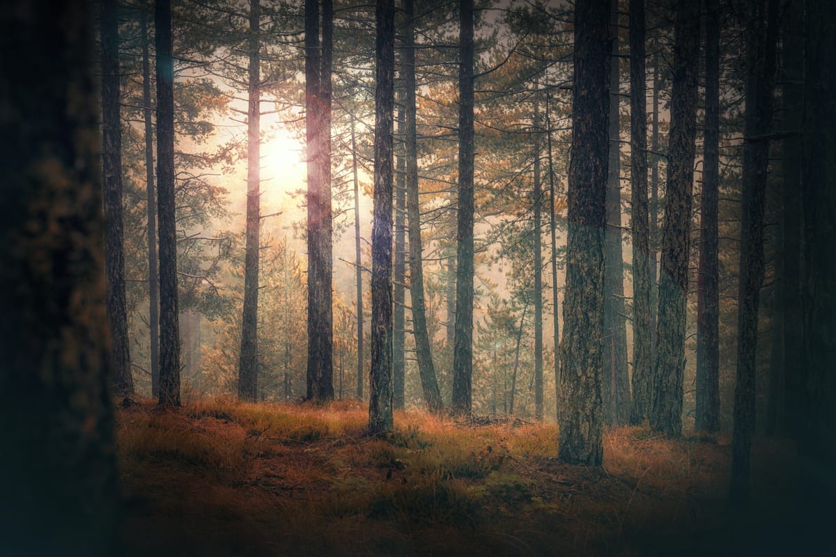 I Left My Job To Freelance During COVID: here's what gave me strength